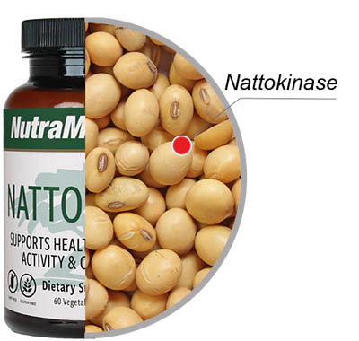 Nattokinase 60 Kapseln