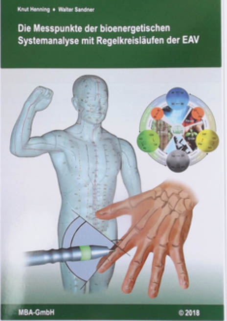 Die Messpunkte der bioenergetischen Systemanalyse mit Regelkreisläufen der EAV Die Messpunkte der bioenergetischen Systemanalyse mit Regelkreisläufen der EAV
